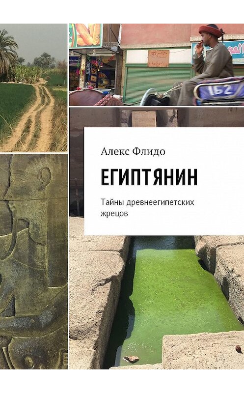 Обложка книги «Египтянин. Тайны древнеегипетских жрецов» автора Алекс Флидо. ISBN 9785449052582.