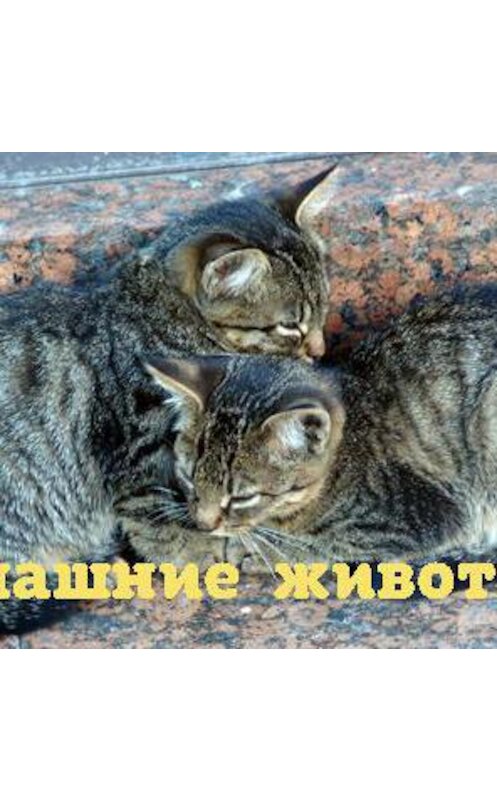 Обложка аудиокниги «Кто такие бишон фрезе?» автора Яны Малинки.