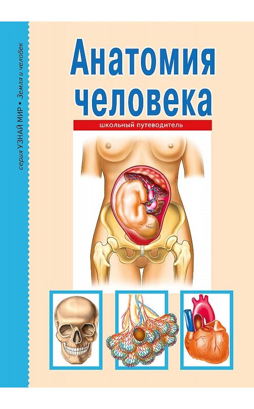 Обложка книги «Анатомия человека» автора Сергея Афонькина издание 2018 года. ISBN 9785912333637.