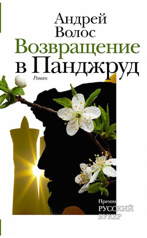 Обложка книги «Возвращение в Панджруд» автора Андрея Волоса издание 2016 года. ISBN 9785170957477.