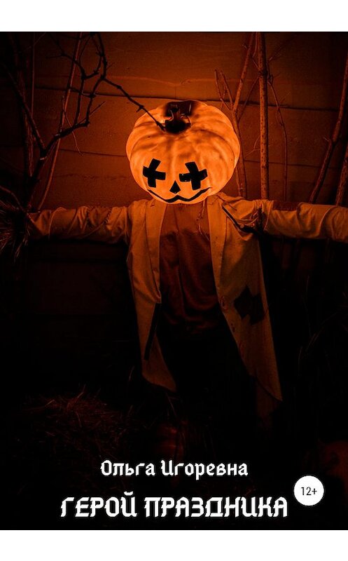 Обложка книги «Герой праздника» автора Ольги Игоревны издание 2020 года.