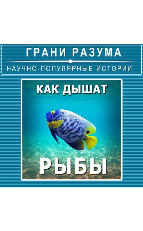 Обложка аудиокниги «Как дышат рыбы» автора Анатолия Стрельцова.