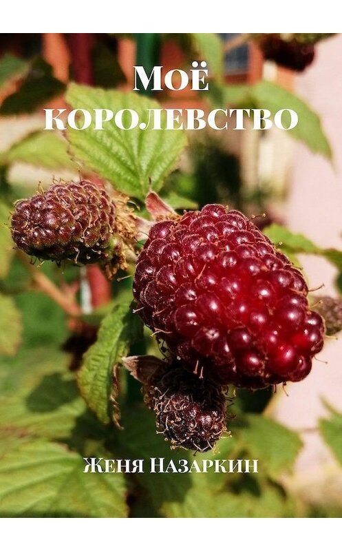 Обложка книги «Моё королевство» автора Жени Назаркина. ISBN 9785005159182.