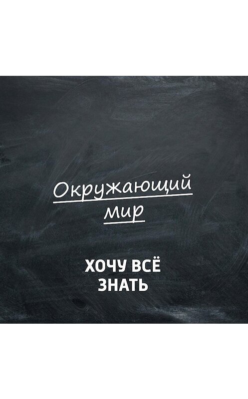 Обложка аудиокниги «Что можно увидеть и услышать в лесу?» автора .