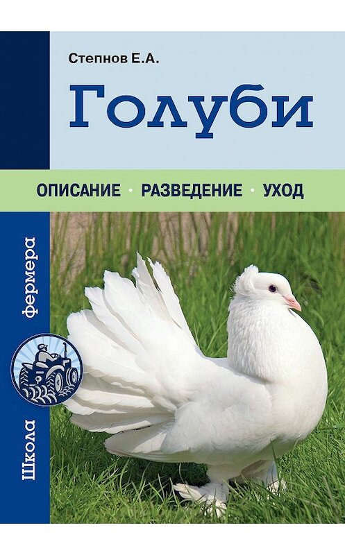Обложка книги «Голуби» автора Евгеного Степнова издание 2014 года. ISBN 9785699698714.