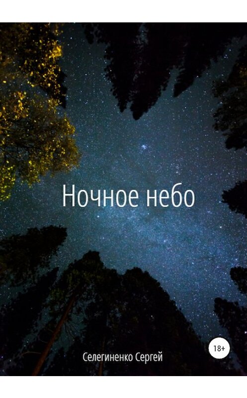 Обложка книги «Ночное небо» автора Сергей Селегиненко издание 2020 года.