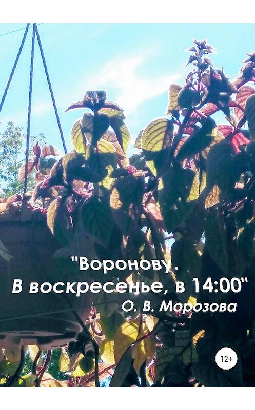 Обложка книги ««Воронову. В воскресенье, в 14:00»» автора Ольги Морозовы издание 2020 года.