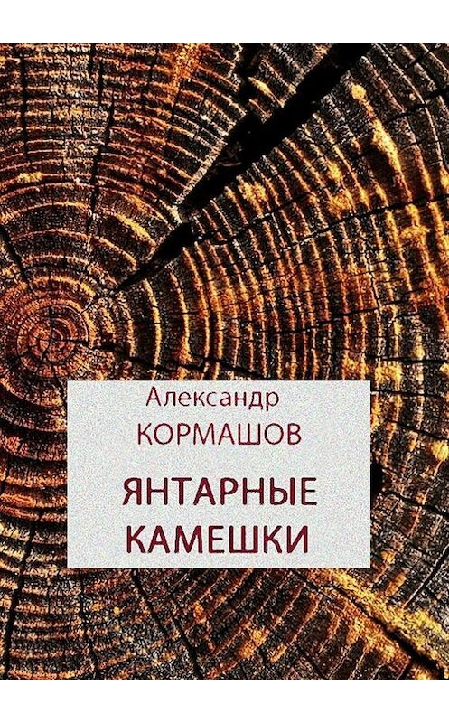 Обложка книги «Янтарные камешки. рассказы» автора Александра Кормашова. ISBN 9785447458768.