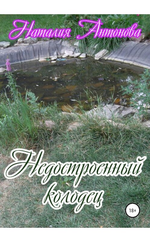 Обложка книги «Недостроенный колодец» автора Наталии Антоновы издание 2018 года.