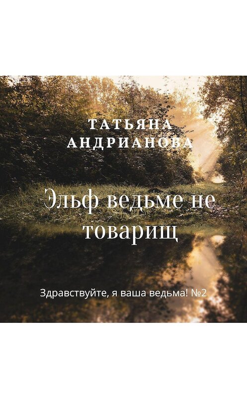 Обложка аудиокниги «Эльф ведьме не товарищ» автора Татьяны Андриановы.