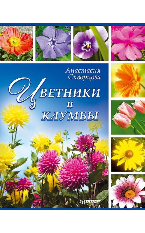 Обложка книги «Цветники и клумбы» автора Анастасии Скворцовы издание 2012 года. ISBN 9785459005653.