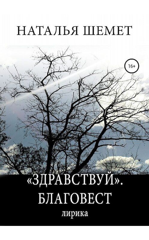 Обложка книги ««Здравствуй». Благовест» автора Натальи Шемета издание 2018 года.