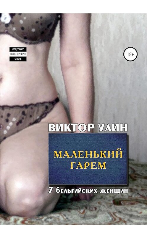 Обложка книги «Маленький гарем» автора Виктора Улина издание 2020 года. ISBN 9785532070363.