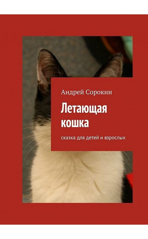 Обложка книги «Летающая кошка. Сказка для детей и взрослых» автора Андрея Сорокина. ISBN 9785447406653.