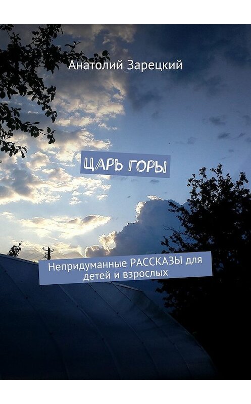 Обложка книги «Царь горы. Непридуманные РАССКАЗЫ для детей и взрослых» автора Анатолия Зарецкия. ISBN 9785448301049.