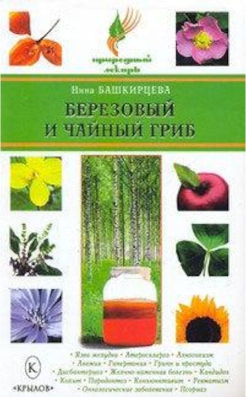 Обложка книги «Березовый и чайный гриб» автора Ниной Башкирцевы издание 2008 года. ISBN 9785971706694.