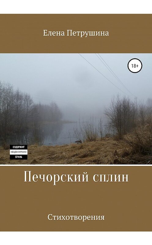 Обложка книги «Печорский сплин» автора Елены Петрушины издание 2020 года.