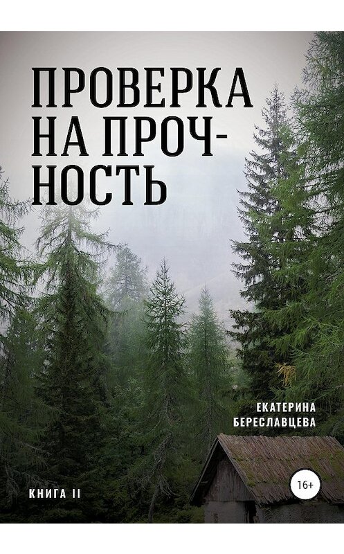 Обложка книги «Проверка на прочность» автора Екатериной Береславцевы издание 2020 года.