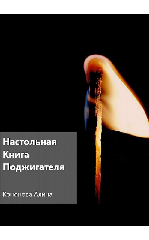Обложка книги «Настольная книга поджигателя» автора Алиной Кононовы издание 2017 года.
