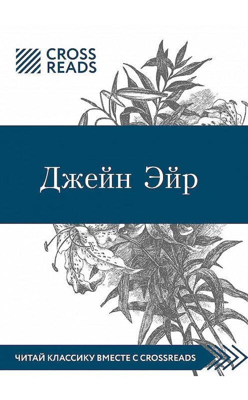 Обложка книги «Обзор на книгу Шарлотты Бронте «Джейн Эйр»» автора Марии Мухановы.