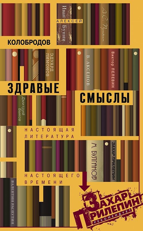 Обложка книги «Здравые смыслы. Настоящая литература настоящего времени» автора Алексея Колобродова издание 2017 года. ISBN 9785227066152.