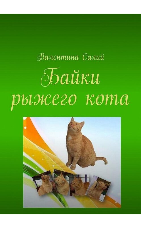 Обложка книги «Байки рыжего кота. Стихи» автора Валентиной Салий. ISBN 9785005115324.