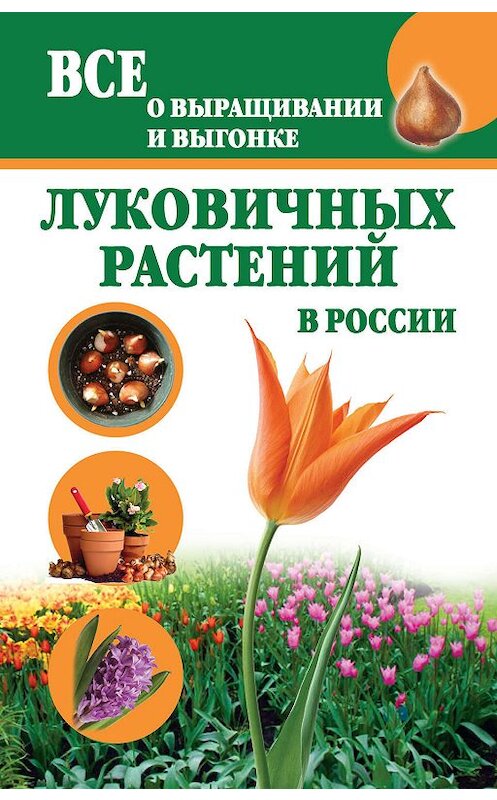 Обложка книги «Все о выращивании и выгонке луковичных растений в России» автора Татьяны Литвиновы издание 2012 года. ISBN 9785271423147.