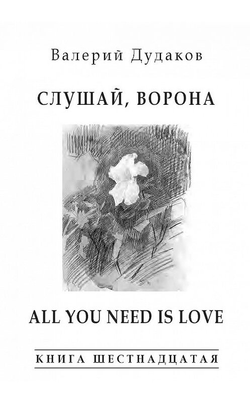 Обложка книги «Слушай, ворона. All Your Need Is Love» автора Валерия Дудакова издание 2015 года. ISBN 9785986045054.