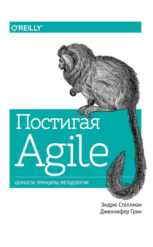 Обложка книги «Постигая Agile» автора  издание 2017 года. ISBN 9785001006145.