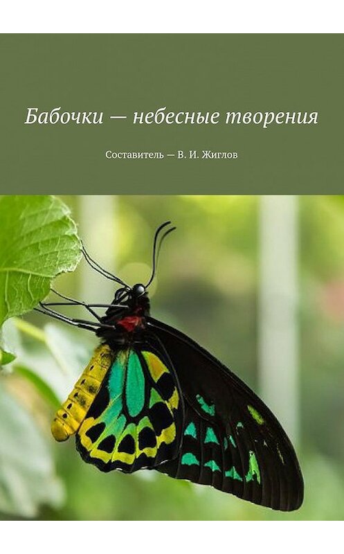 Обложка книги «Бабочки – небесные творения» автора В. Жиглова. ISBN 9785448524073.