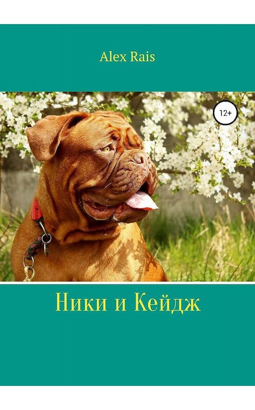 Обложка книги «Ники и Кейдж» автора Alex Rais издание 2019 года. ISBN 9785532103788.