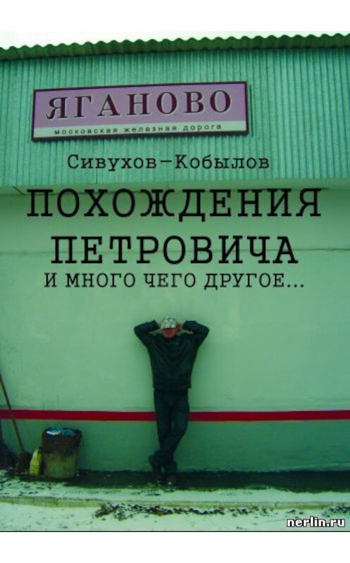 Обложка книги «ПОХОЖДЕНИЯ ПЕТРОВИЧА и много чего другое…» автора Игоря Гамазина.