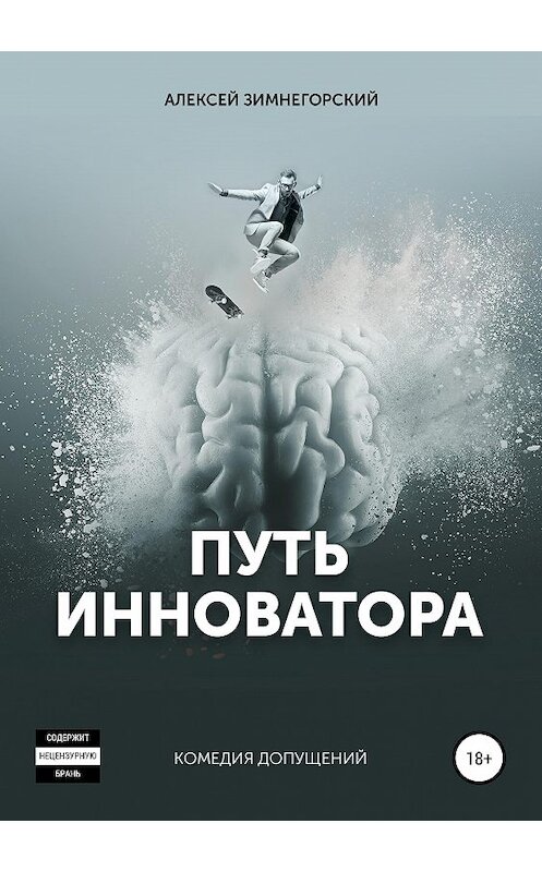 Обложка книги «Путь инноватора» автора Алексея Зимнегорския издание 2019 года.