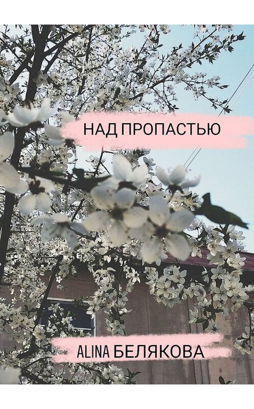 Обложка книги «Над пропастью» автора Alina Беляковы. ISBN 9785005018083.