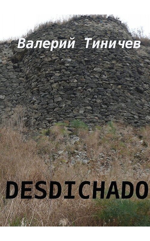 Обложка книги «Desdichado» автора Валерия Тиничева. ISBN 9785447419219.