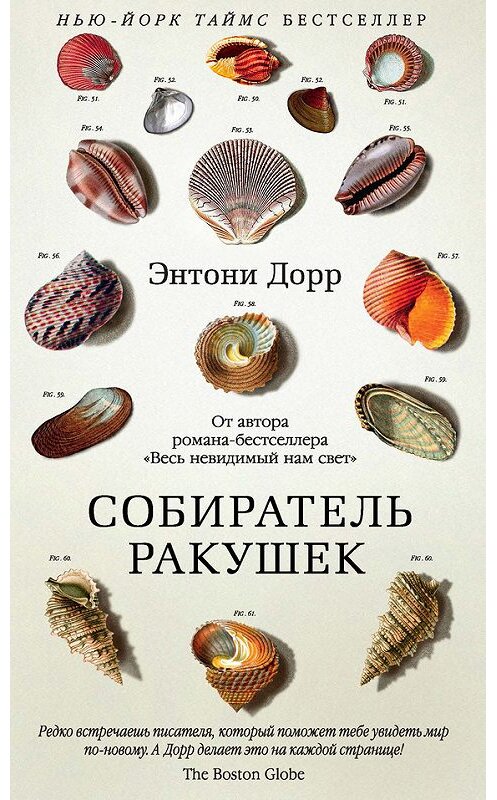 Обложка книги «Собиратель ракушек» автора Энтони Дорра издание 2015 года. ISBN 9785389106437.