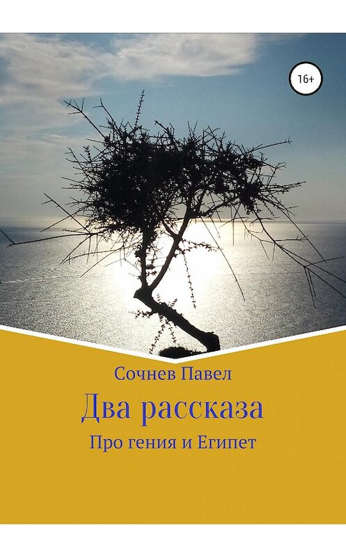 Обложка книги «Два рассказа» автора Павела Сочнева издание 2019 года.