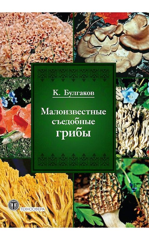 Обложка книги «Малоизвестные съедобные грибы» автора Касима Булгакова издание 2012 года. ISBN 9785948363110.