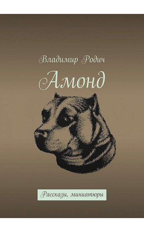 Обложка книги «Амонд» автора Владимира Родича. ISBN 9785447453121.