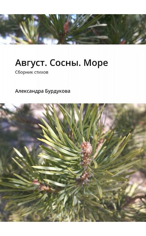 Обложка книги «Август. Сосны. Море. Сборник стихов» автора Александры Бурдуковы. ISBN 9785005087751.