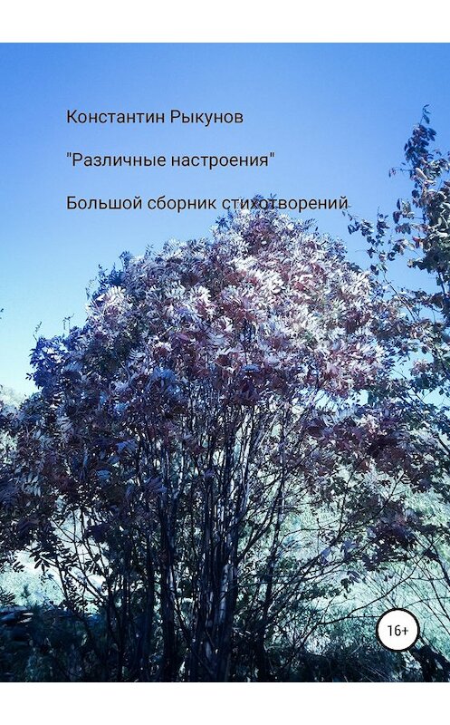 Обложка книги «Различные настроения» автора Константина Рыкунова издание 2019 года.