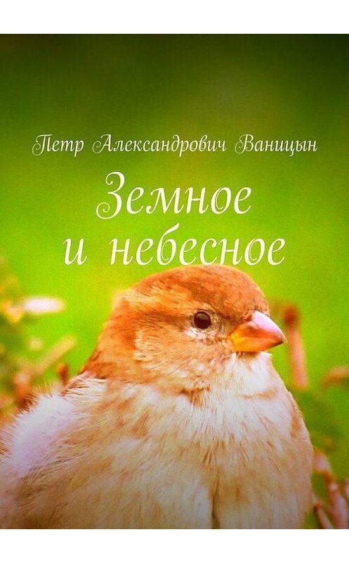 Обложка книги «Земное и небесное» автора Петра Ваницына. ISBN 9785448338236.