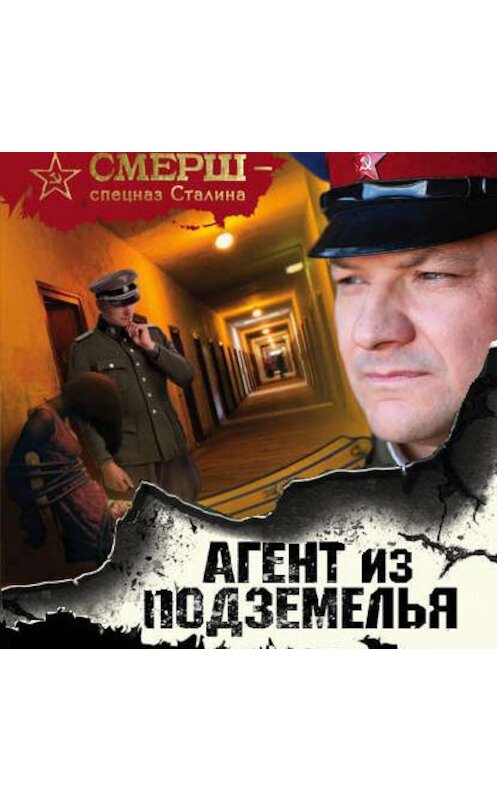 Обложка аудиокниги «Агент из подземелья» автора Александра Тамоникова.