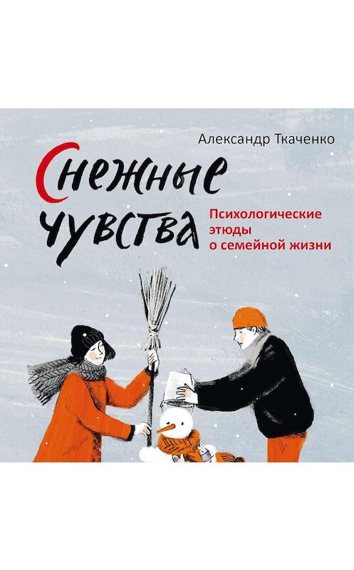 Обложка аудиокниги «Снежные чувства» автора Александр Ткаченко.