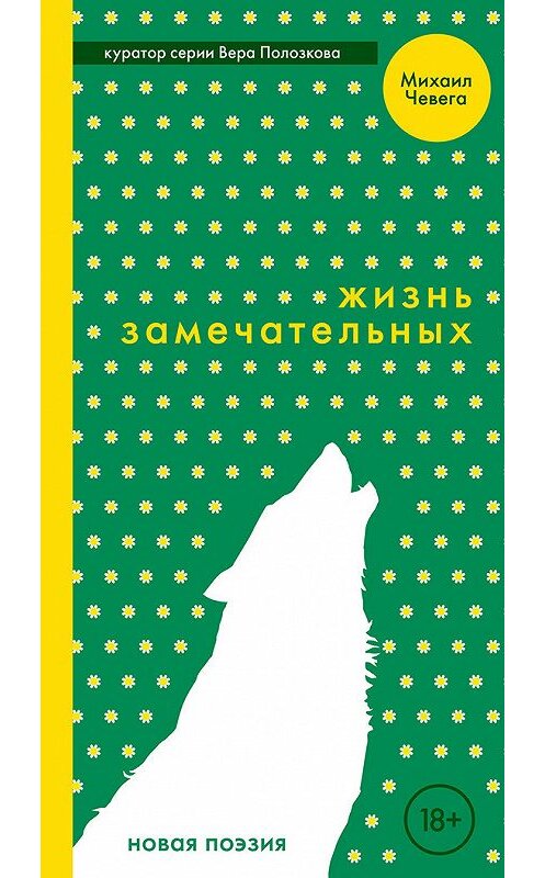 Обложка книги «Жизнь замечательных» автора Михаил Чевеги издание 2018 года. ISBN 9785604008218.