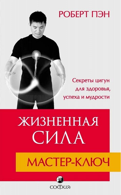 Обложка книги «Жизненная Сила. Мастер-ключ» автора Роберта Пэна издание 2015 года. ISBN 9785906749451.