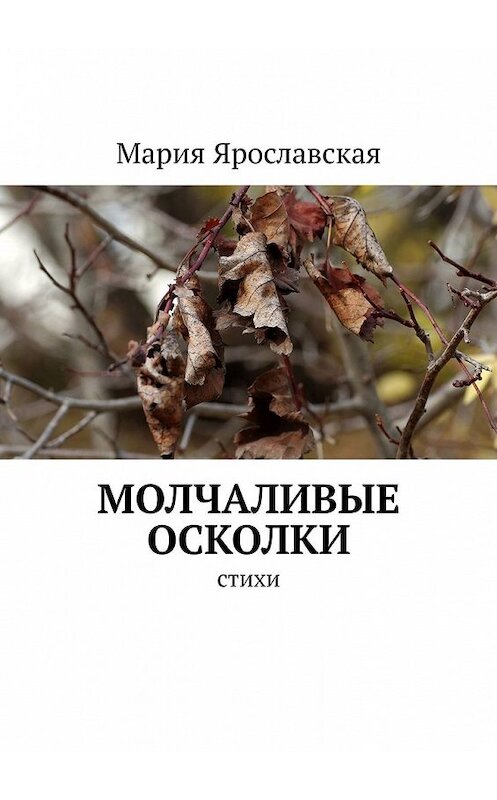 Обложка книги «Молчаливые осколки. Стихи» автора Марии Ярославская. ISBN 9785449348135.