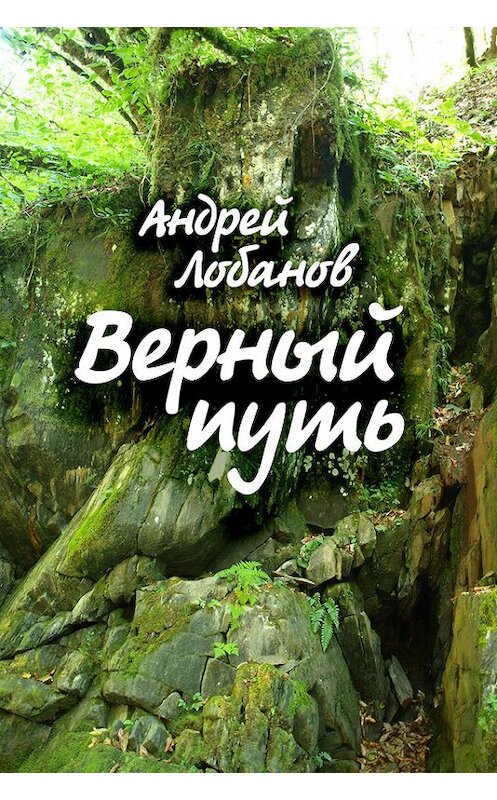 Обложка книги «Верный путь» автора Андрея Лобанова издание 2015 года.