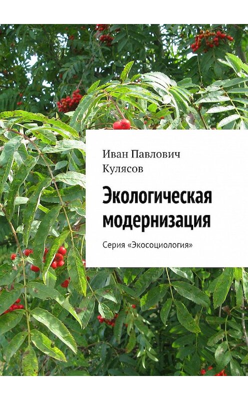 Обложка книги «Экологическая модернизация. Серия «Экосоциология»» автора Ивана Кулясова. ISBN 9785448316388.