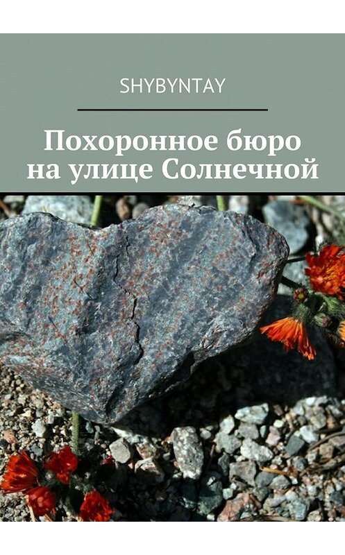 Обложка книги «Похоронное бюро на улице Солнечной» автора Shybyntay. ISBN 9785448321283.